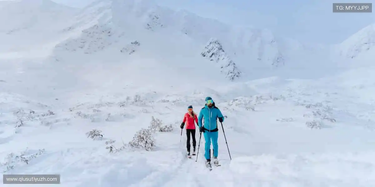 次世代体育游戏专区：官方正版安全稳定，玩得放心更尽兴